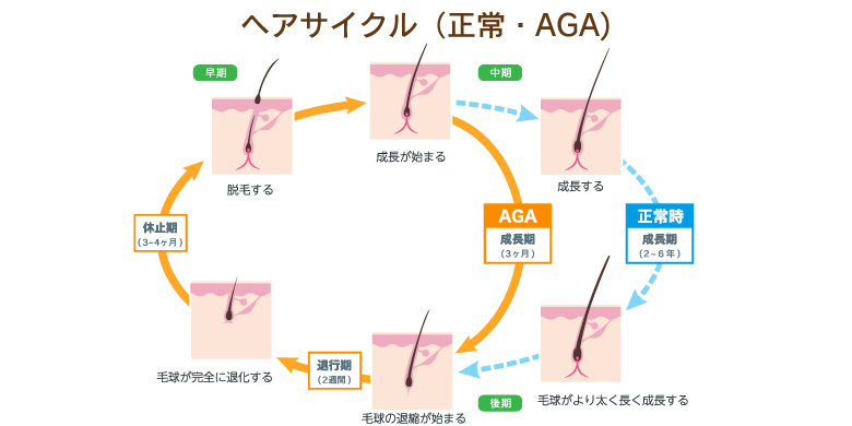 ソース画像を表示